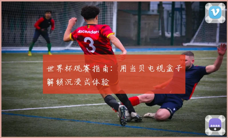 世界杯观赛指南：用当贝电视盒子解锁沉浸式体验