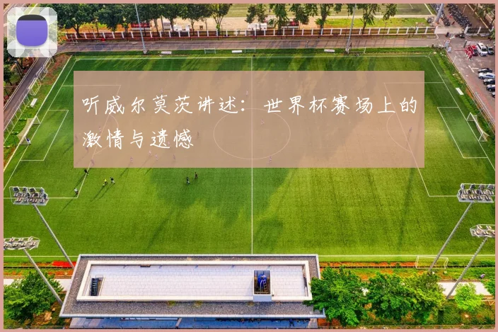 听威尔莫茨讲述:世界杯赛场上的激情与遗憾