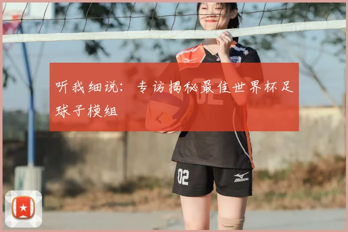 听我细说:专访揭秘最佳世界杯足球子模组