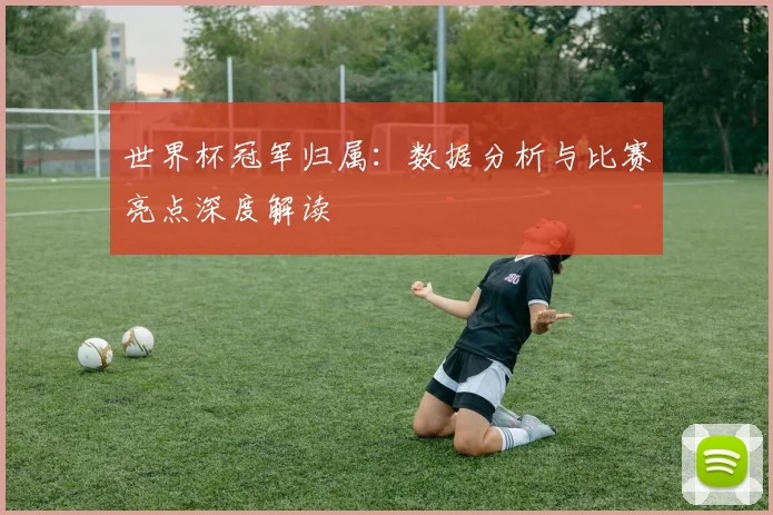 世界杯冠军归属：数据分析与比赛亮点深度解读